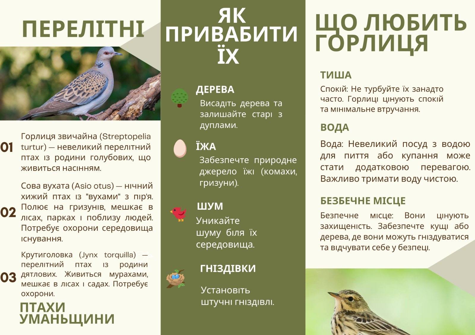 Перемога в обласному етапі Всеукраїнського конкурсу “День зустрічі птахів”